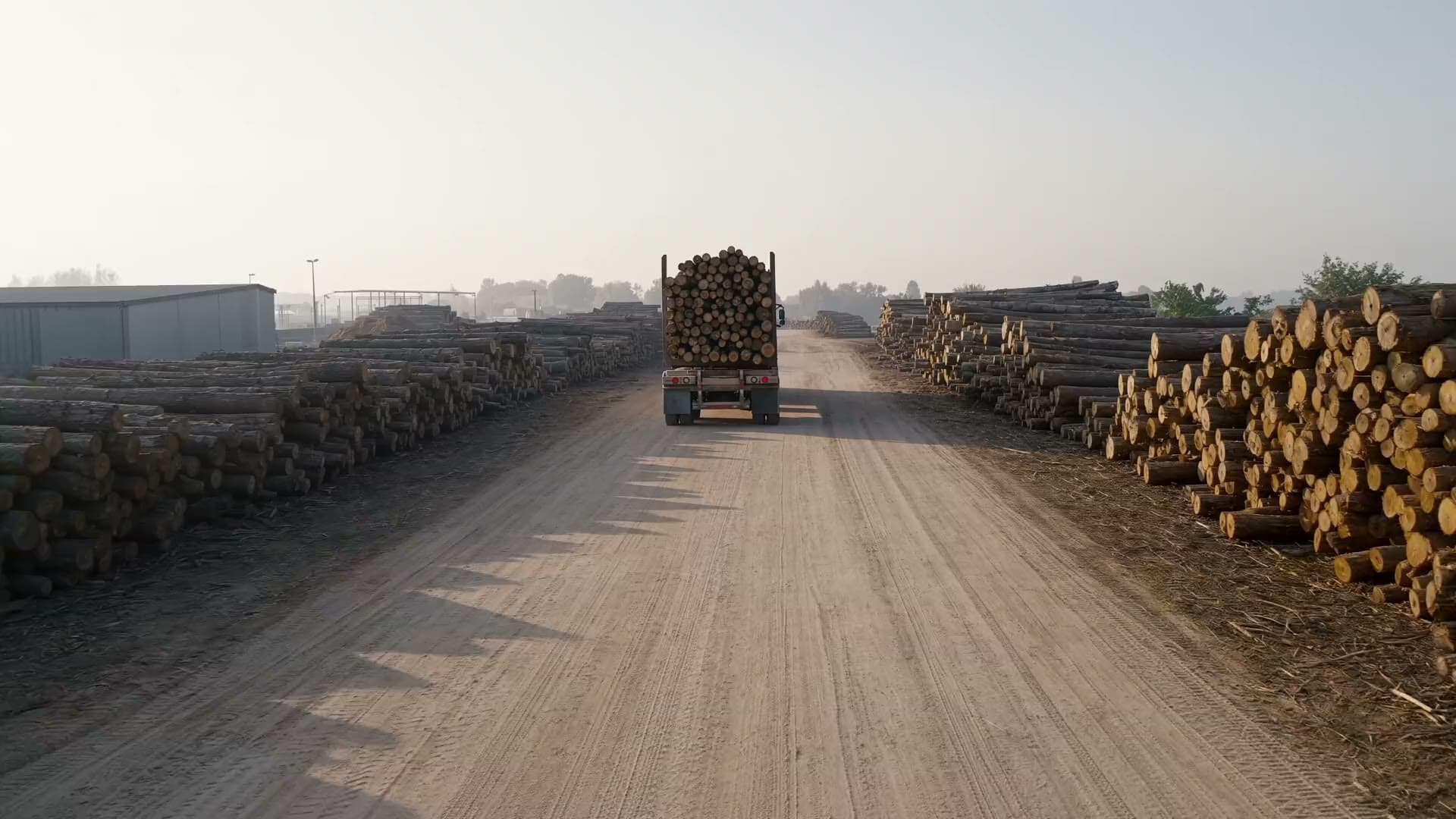Aerial view from behind a loaded logging truck on a timber-yard road in cream morning haze